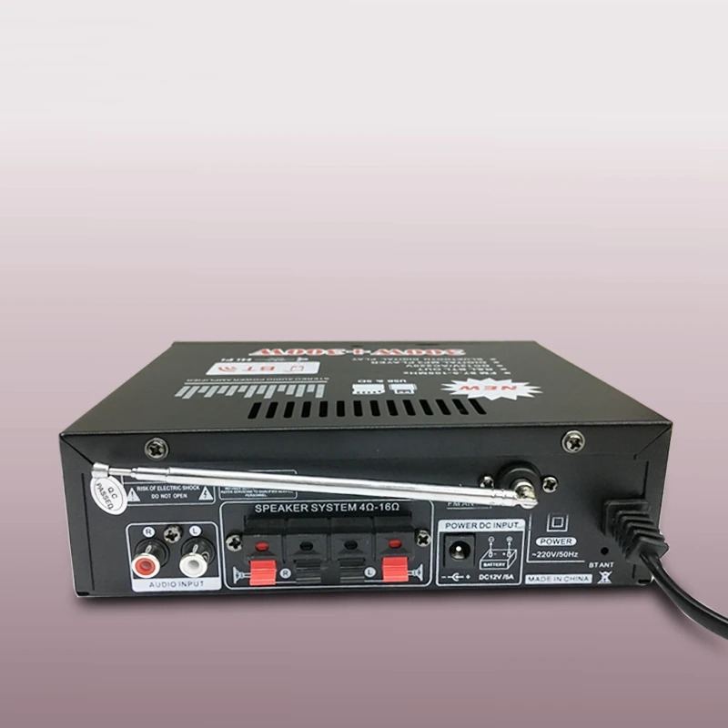 600W аудио Мощность усилитель со штепсельной вилкой европейского стандарта 12/220V 2CH