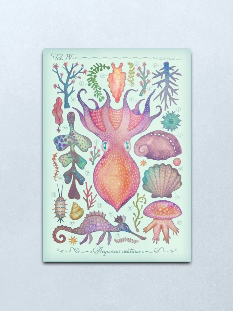 Marine Creatures IV Metal Print Tin Sign Bar Home Wall Decor Metal Art Poster Farmhouse Home Decor Wall Decor Metal