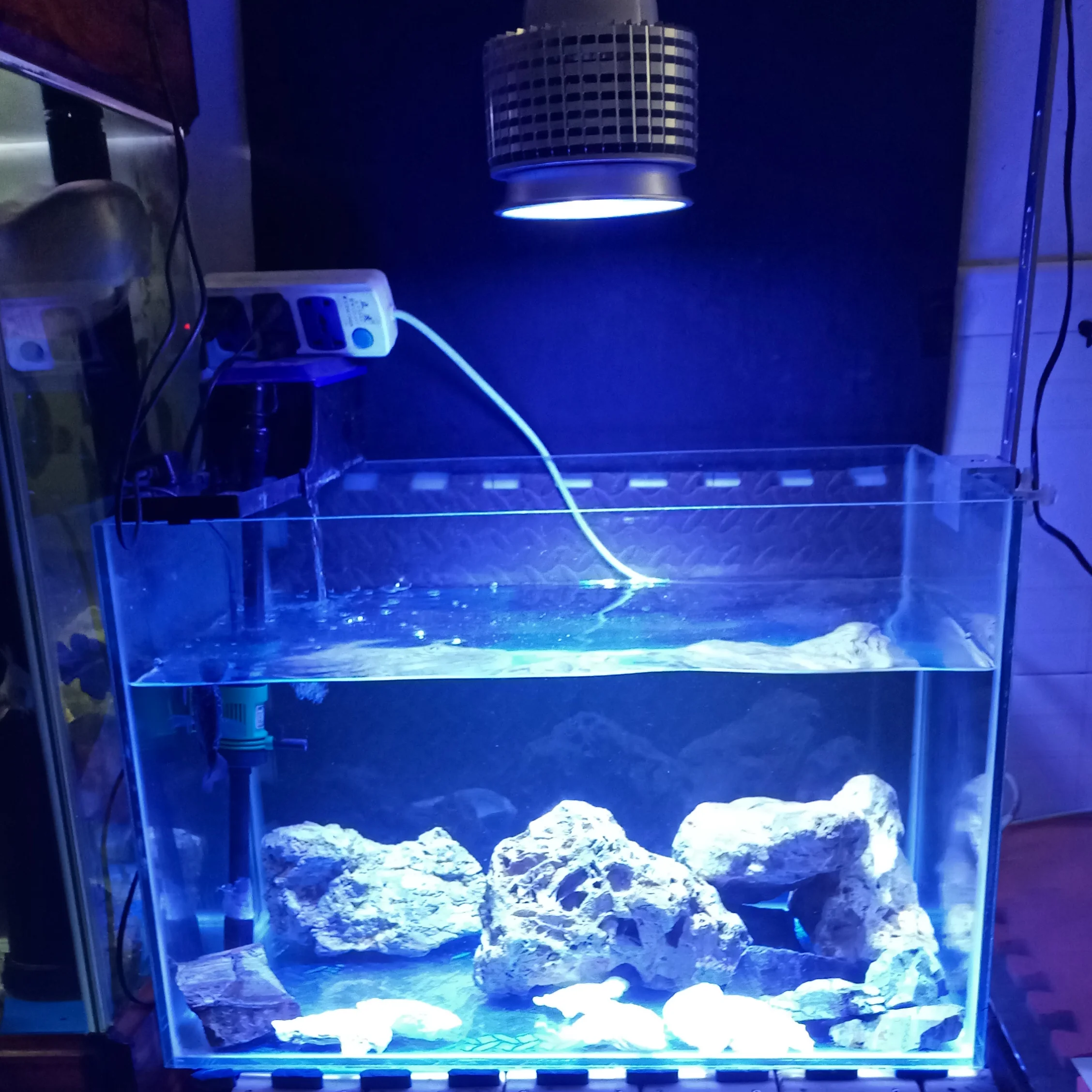 Высокая мощность 40 Вт Светодиодный светильник для аквариума Reef лампа 10 синий 6 белый 2uv для рыб коралловый риф морской SPS LPS