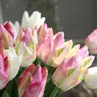 5 шт.лот, искусственный цветок 54 см, большой латексный тюльпан, одна ветка для украшения отеля и дома, свадебное украшение, искусственный цветочный венок