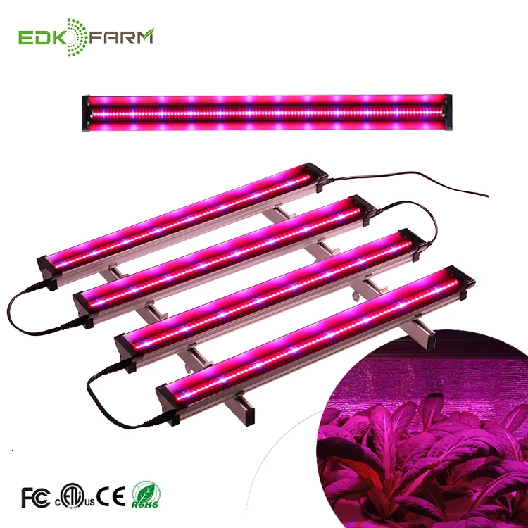 mushroom farms canada hydro mini power plant mushroom bulb t5 grow light
