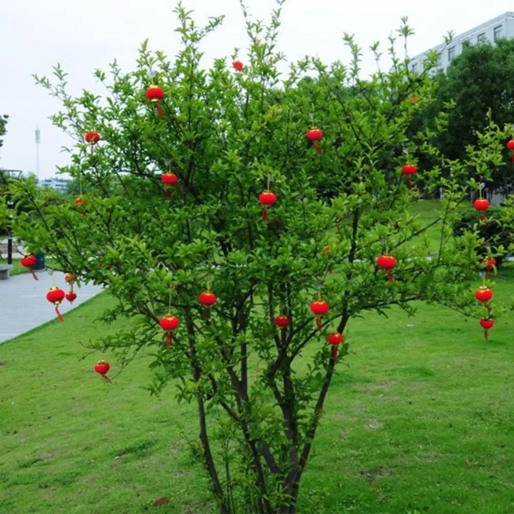 16 шт красный цветок фонари праздничный Фонарь кулон украшение для свадебной