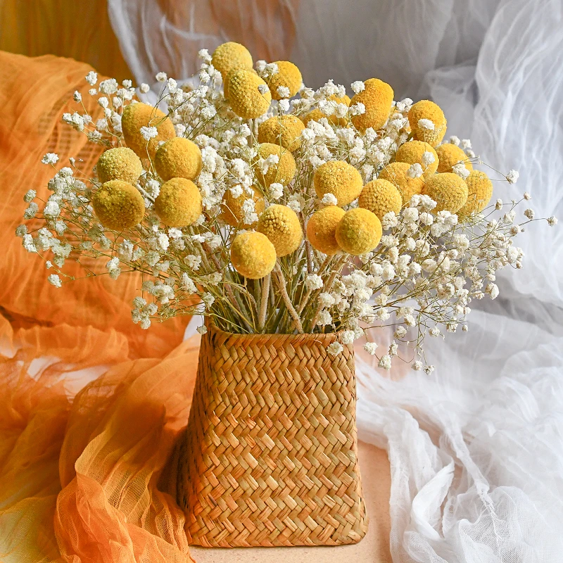 1 букет настоящих натуральных сушеных планшетов золотой шар поделки сделай сам