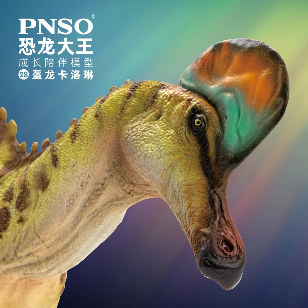 PNSO-dinosaurio prehistorico, modelos: 28, Ana, Corythosaurus-3