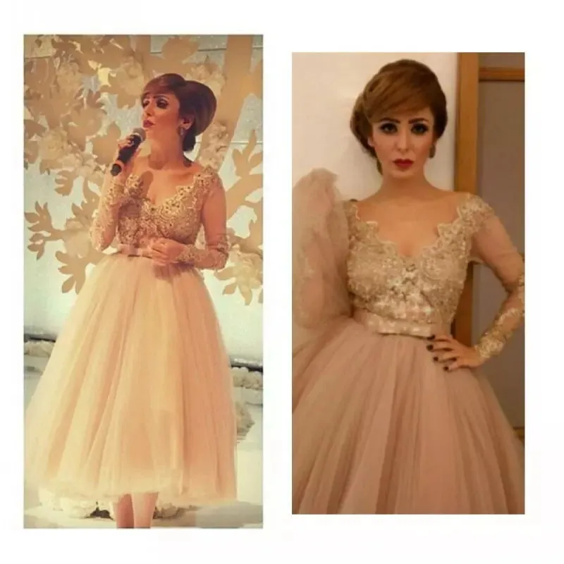 

Prom Cocktail Homecoming Evening Dresses 2022 Woman's Party Night Celebrity Formal Dresses Plus Size Short Dubai Arabic Dress