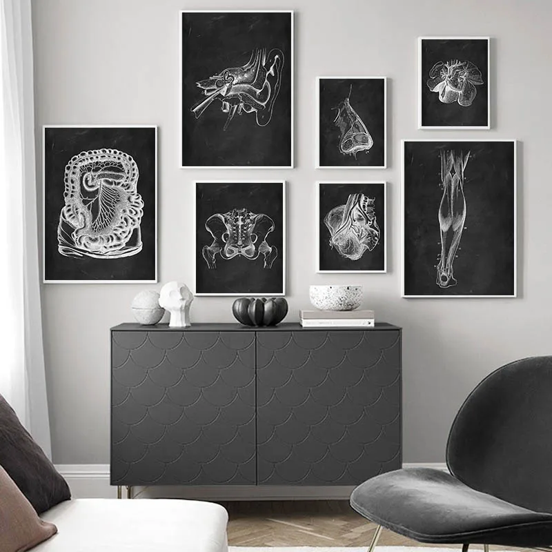 Черно-белая Анатомия человека медицинская настенная Художественная печать