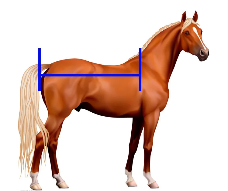 Водонепроницаемый коврик для лошадей весна осень|horse rug|horse racing clotheshorse |