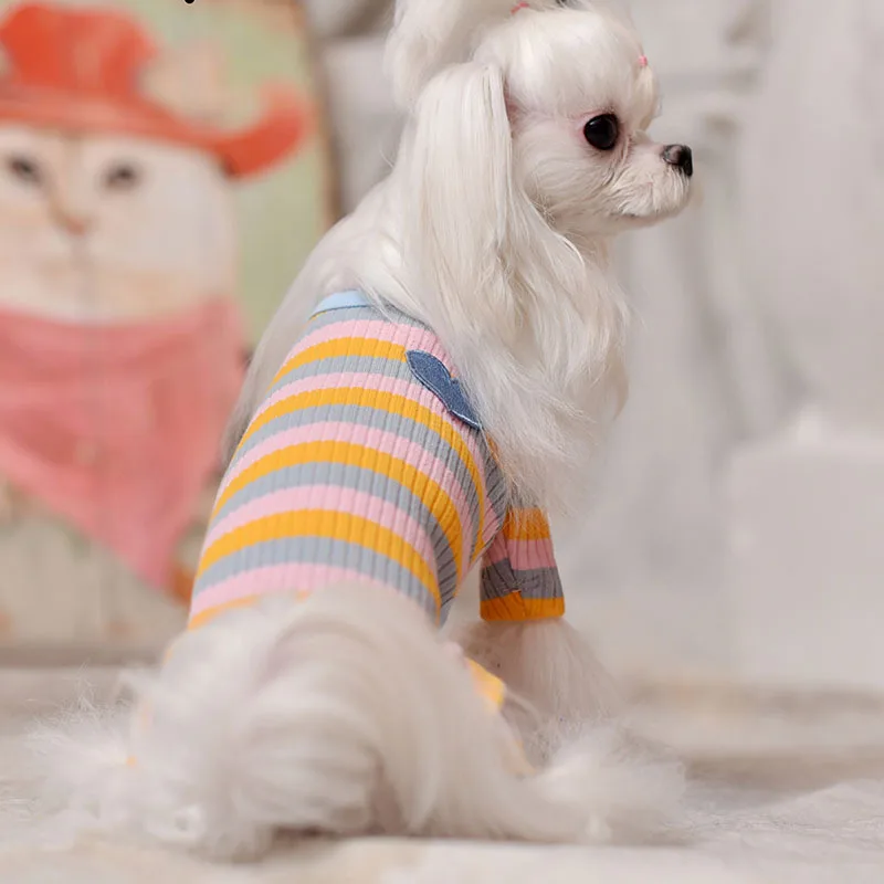 Одежда для домашних животных на осень и зиму новейший стиль Радужный принт с