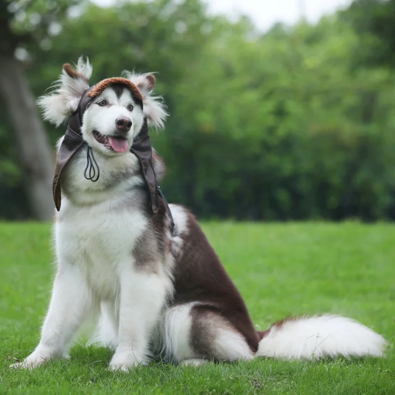 Осенне-зимняя кашемировая шапка для собак щенков теплая удобная красивая шлем