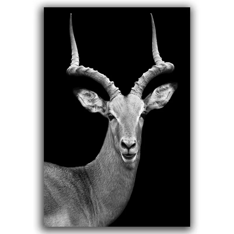 Гостиная на холсте бескаркасные Черный и белый цвета животных картина для