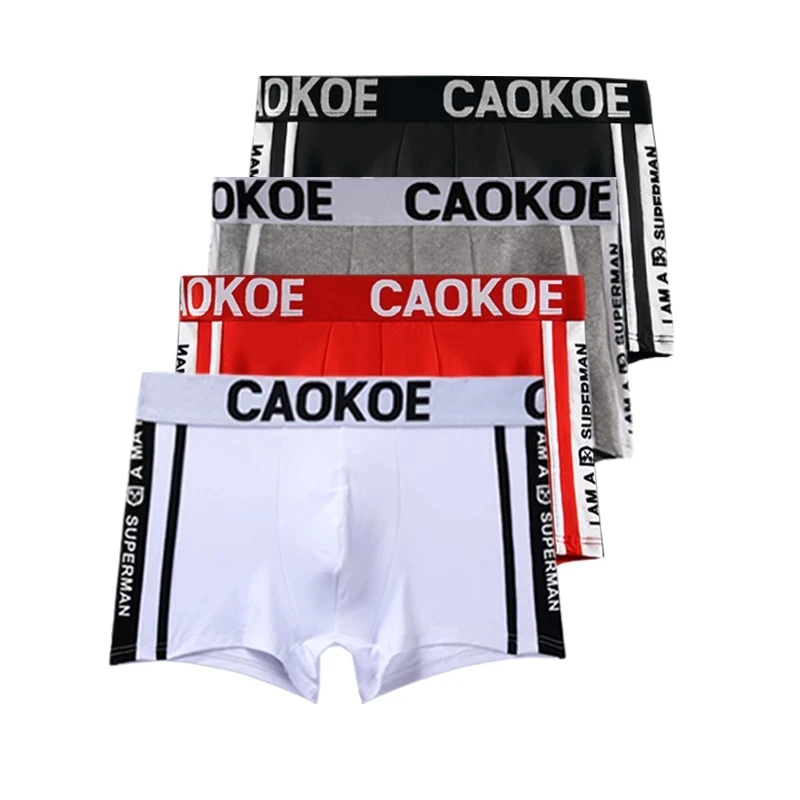 

4 Pcs Boy Undies Men Underwear Boxer Sexy Shorts Elasticity Polyester Briefs Homme Underpants Male Breathable Panties M L XL XXL