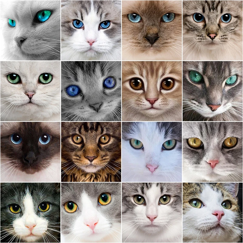 

Animal Lucky Cat DIY Diamond Painting Cross Stitch Set Mosaic Full Drill Kit Diamond Embroidery Home Craft Art Decoration Gift