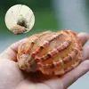Изображение товара 0