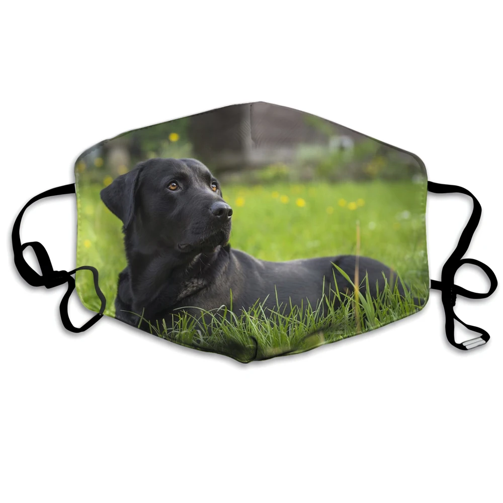 Маска для лица с изображением милой черной собаки Лабрадора непродуваемая