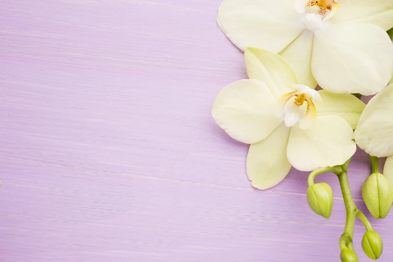 SHENGYONGBAO Художественная ткань на заказ фотография Реквизит цветочные и деревянные