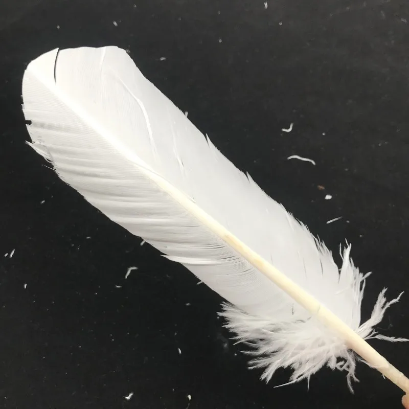 Бесплатная доставка 50 шт./фотосессия красивые белые перья индейки