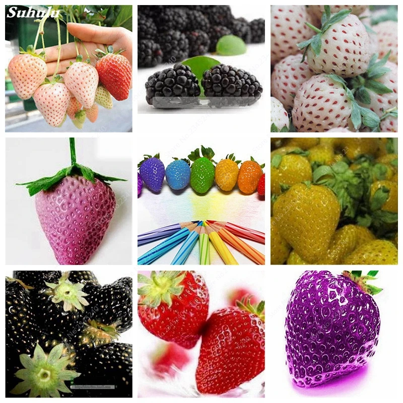 1000 шт./пакет супер гигантская клубника Декор искусственные цветочные горшки |