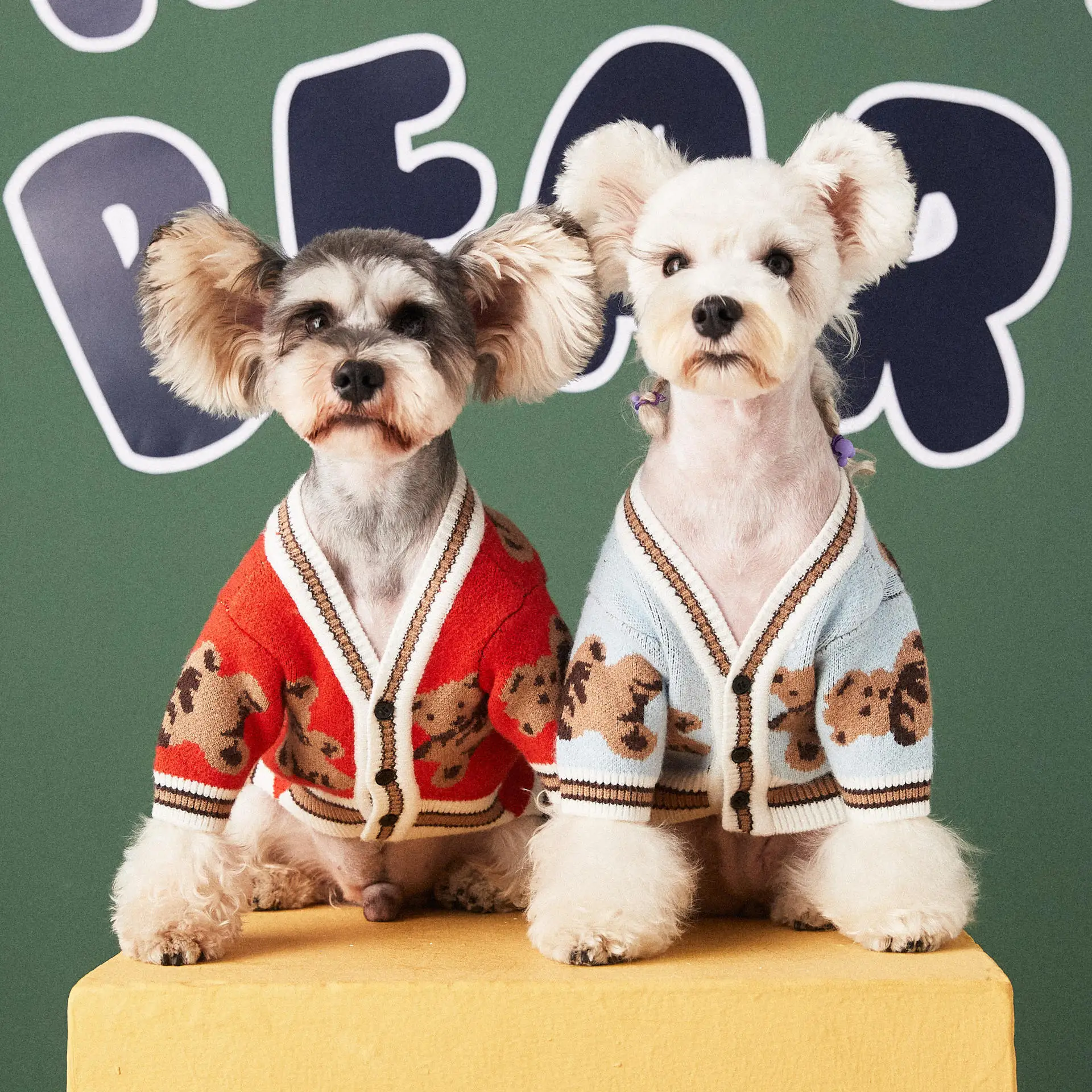 

Bear Cardigan Dogs Sweater Autumn Winter Knit Jumper for Dog Clothes for A Small Dog
