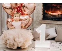 champagne little princess infant 1 year birthday dress christmas party gown girl clothes photoshoot