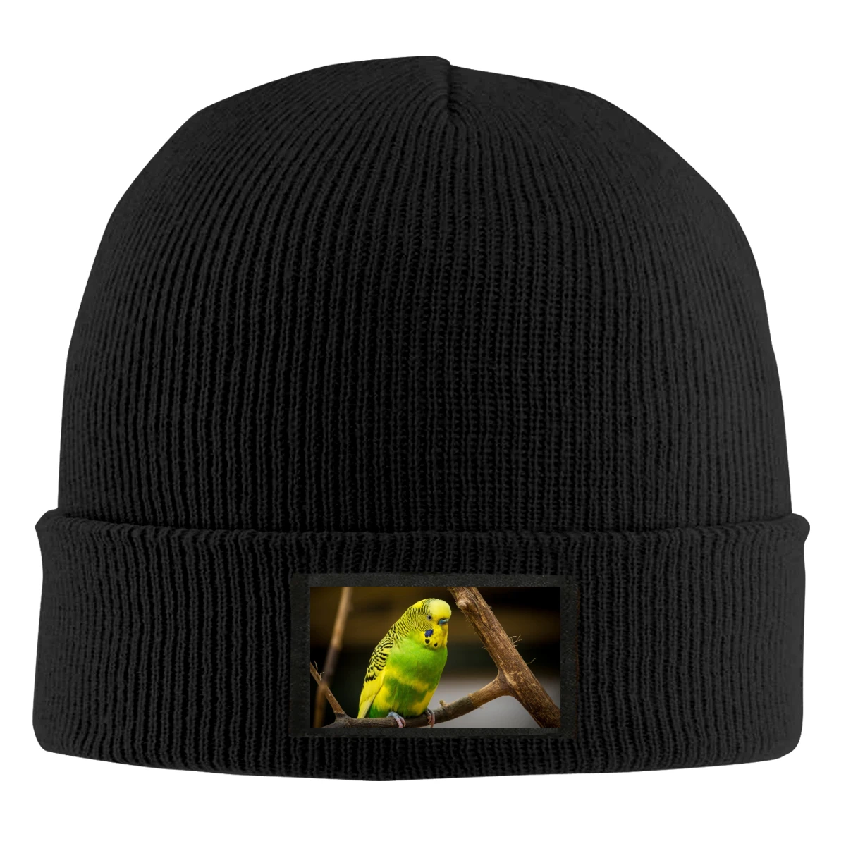 

Parrot Mr Women's clothing winter student hat Fashion wool caps outdoor caps