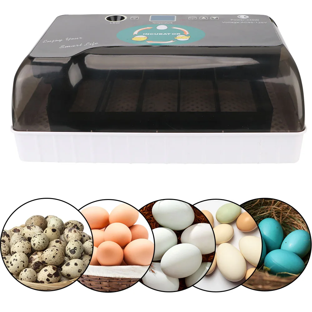 

Automatic Eggs Incubator Cheap Price Farm Hatchery Pet Products 4-35 Egg Hatchers Chicken Bird Quail Brooder