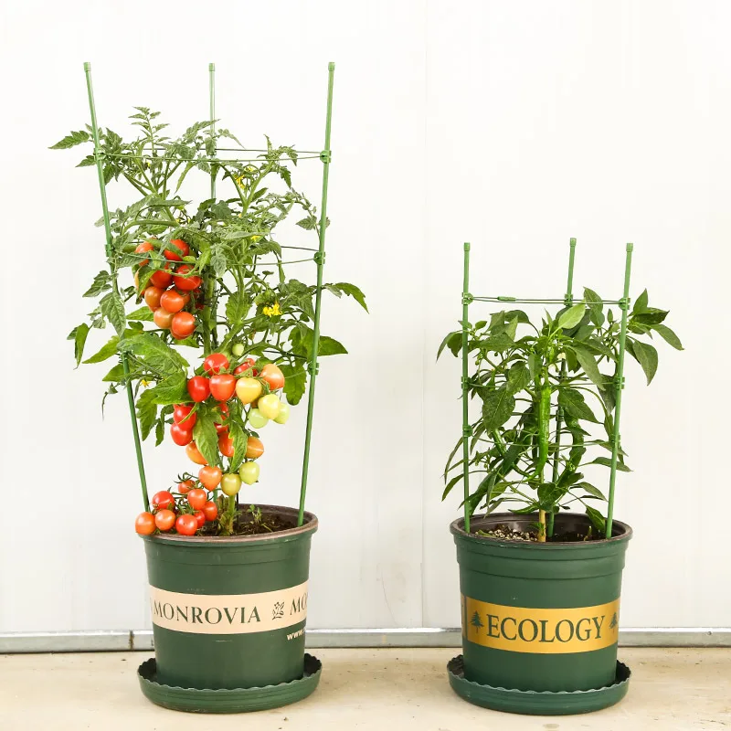 

Household green plant iron flower pot bracket rose flower frame climbing frame indoor living room clematis frame garden climbing
