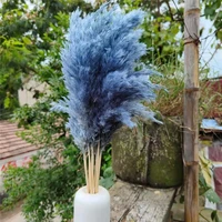 10pcs dried blue pampas grass home decoration natural plant ornament greyblue pampas flower bunch for wedding home decor