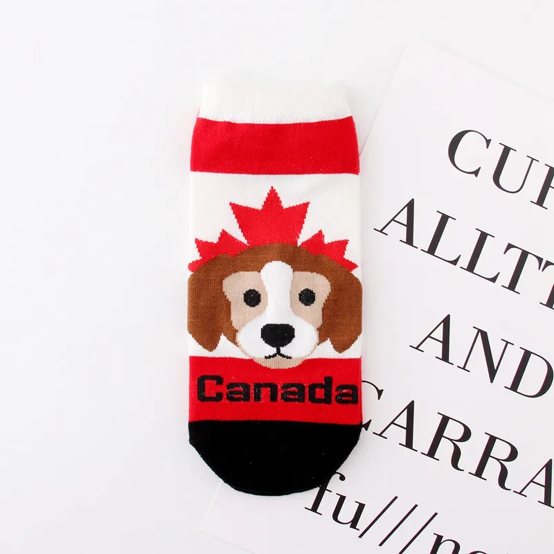 Модные женские милые носки с героями мультфильмов на весну лето и осень цветные