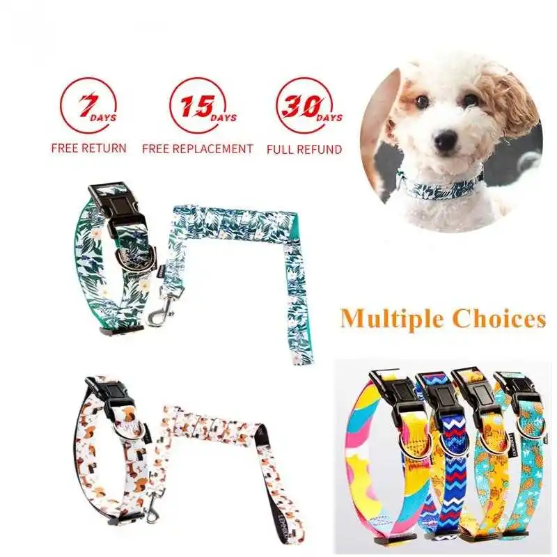 

Dog Collor and Leash Set Safety Stylish Colorful French Bulldog Accessories For Small Size and Medium Size Puppy Shepherd