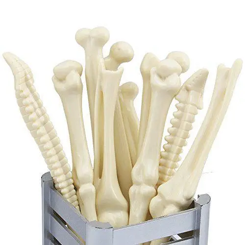 

For Novely Bone Desigh Ballpiont Pens For Doctor Nurse Friends or Student etc (10pcs)