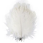 Оптовая продажа 10 шт.лот белое натуральное страусиное перо для рукоделияЦентральная настольная лампавазаукрашение свадьбы 10-15 см Шлейфы