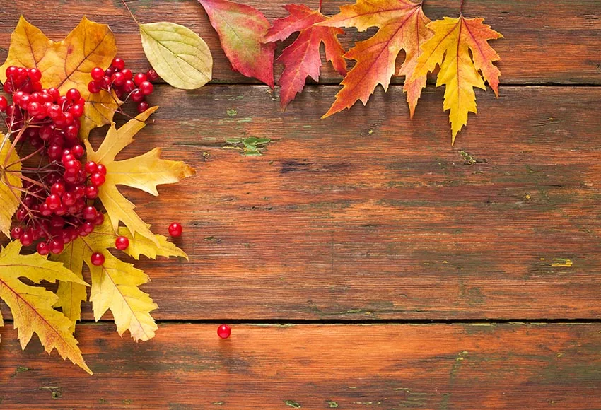 

Autumn Wood Leaves Photo Backdrop Party Photography Backgrounds Backdrops for Kids Children Party Decor