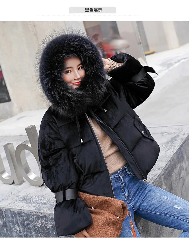 

Winter High Quality Coats 2020 Female Shortt Winter jacket Women Thicken Warm Cotton-Padded Down Parkas Coat Faux Fur Collar