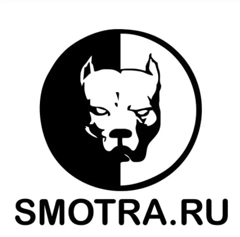 13 8*15 см adesivo no carro pitbul smotra engrado de e decalque prata/preto vinil auto adesivos N2266 | Дом и сад