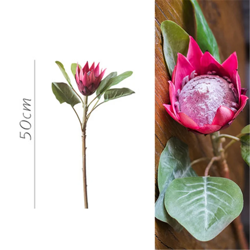 

Simulation of emperor flower landscaping tropical plants