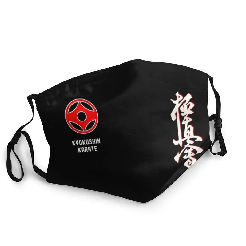 

Karate Kyokushin Washable Mouth Face Mask Adult Martial Arts Mask Dustproof Protection Cover Respirator Muffle