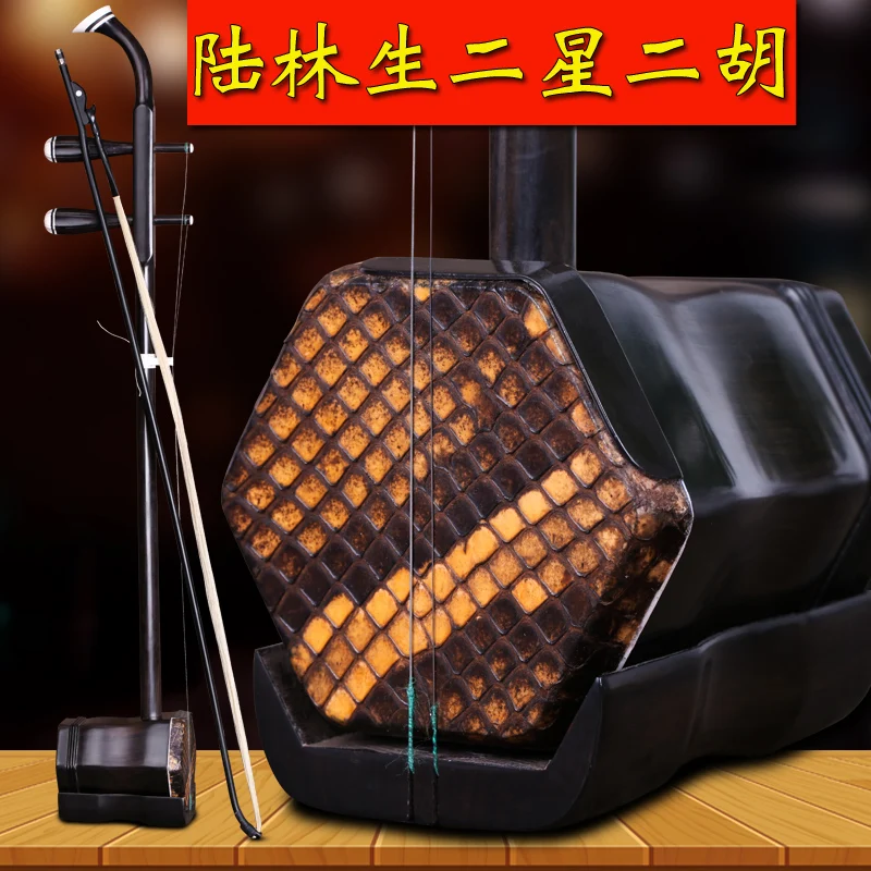 Китайский erhu Профессиональный музыкальный инструмент для тела eruh с Струны Эрху