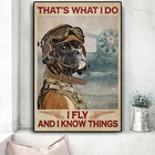 Скандинавские абстрактные картины на холсте Fly and I знаем Things, классные боксерские брикеты и принты, Настенная картина для гостиной