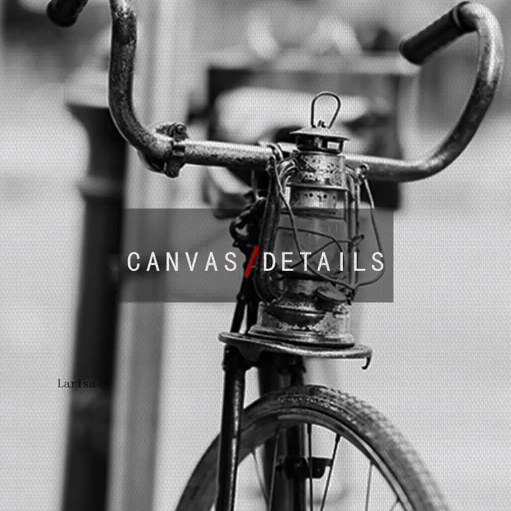 

Scandinavian Style Photography Art Poster Black and White Bike Canvas Painting Girl In Car Wall Pictures for Living Room Decor