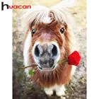 Huacan  5д алмазная вышивка полная выкладка распродажа лошади декор для дома алмазная мазайка картина стразами