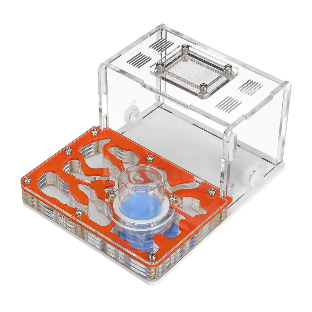 orange DIY влага с области кормления Муравьиное гнездо, муравьиная ферма из акрила, насекомые муравьиные гнезда вилла домашнее животное мания для Домашние муравьи - Цвет: orange