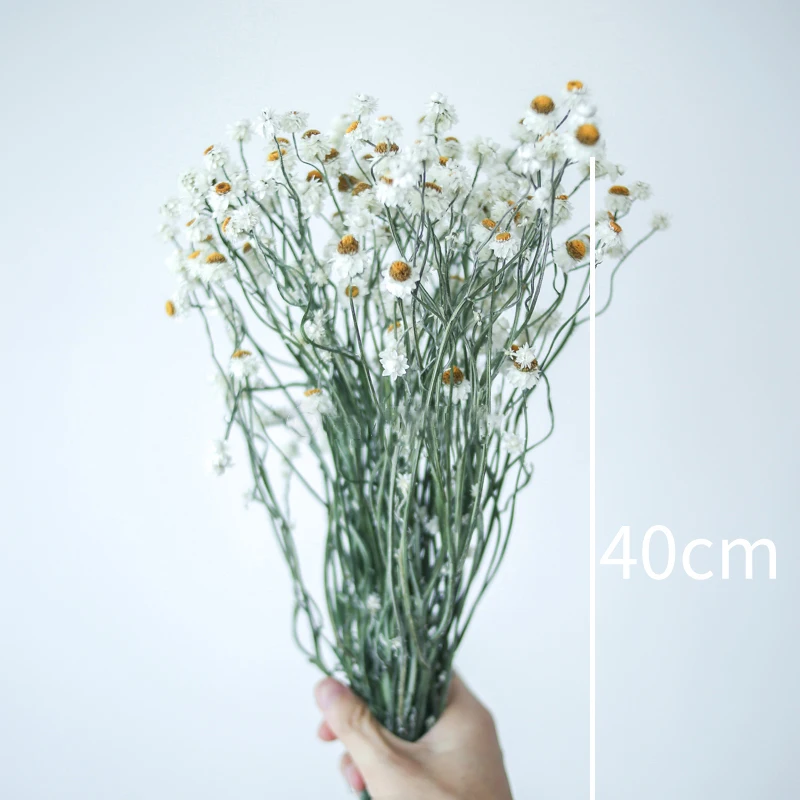 

Real Immortal Daisy Flower Arrangement 40cm Preserved Dried Floral Bouquet Lovely Creative Home Wedding Newyear Art Decoration