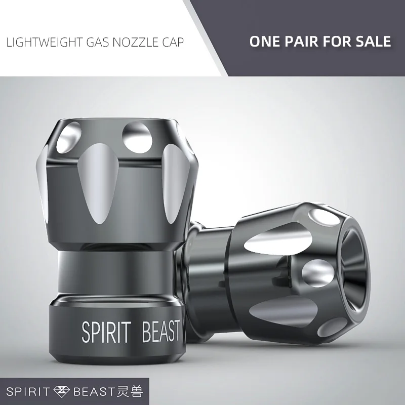 Titanium SPIRIT BEAST автомобильные шины для колес мотоцикла покрышки для шин клапан сопло крышка Мотоцикл Скутер велосипед ATV шины газовая Крышка для Honda Suzuki Yamaha - Цвет: Titanium