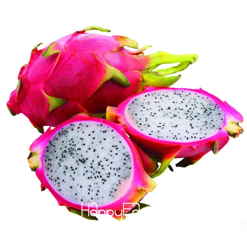 New!Sweet Pitaya Bonsai Tree Plants Dragon Fruit garden Pitaya flores Non-gmo Hylocereus Fruit, 100 plantas/Pack,#EV242E