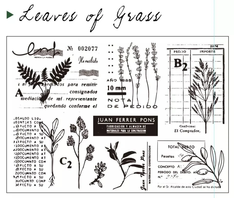 Цветок Прозрачный силиконовый штамп/печать для DIY скрапбукинга/альбом