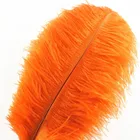 Оптовая продажа, оранжевые страусиные перья для рукоделия, 15-70 см, карнавальные костюмы для вечеринки, искусственные натуральные плюманы, Шлейфы
