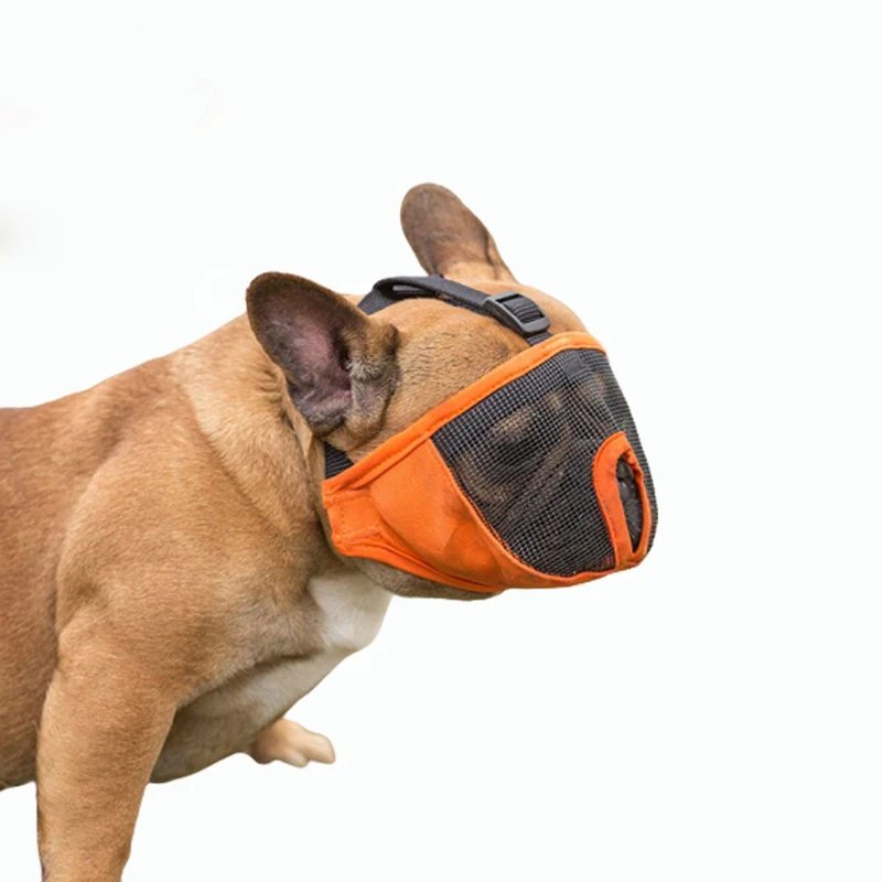 

Muzzles French Bulldog Pet BreathableMesh Mask Small Pet Prevent bite Mouse Basket Breathable Dog Muzzle Leash Harness Supplies