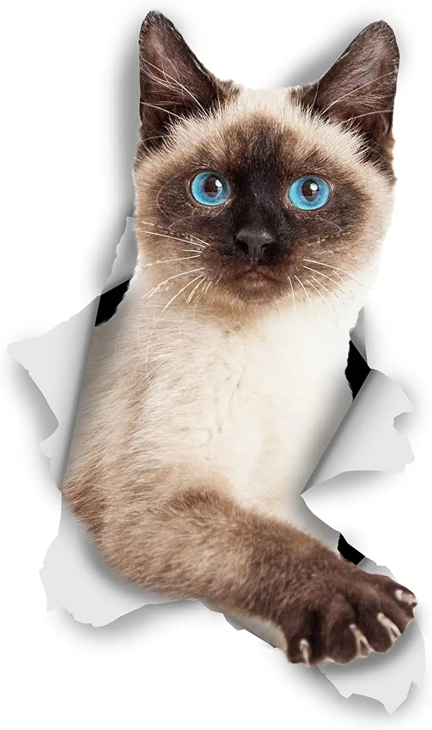 

Fuzhen Boutique Decals Exterior Accessories Breakout Siamese Cat Lovely Car Sticker Waterproof Decal Laptop Suitcase PVC 12cm