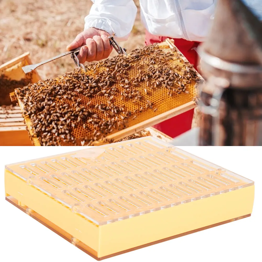 Bee King инкубатор свободно перемещать безвредные разведение коробка пчеловод