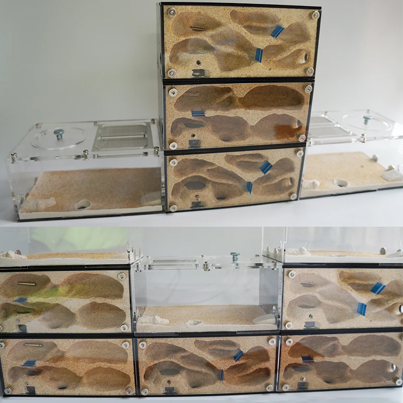 

Acrylic Ant Farm Spliceable Ant Nest with Intelligent Temperature Control Concrete Ant House Anthill Pet Workshop 15*10*13.5cm